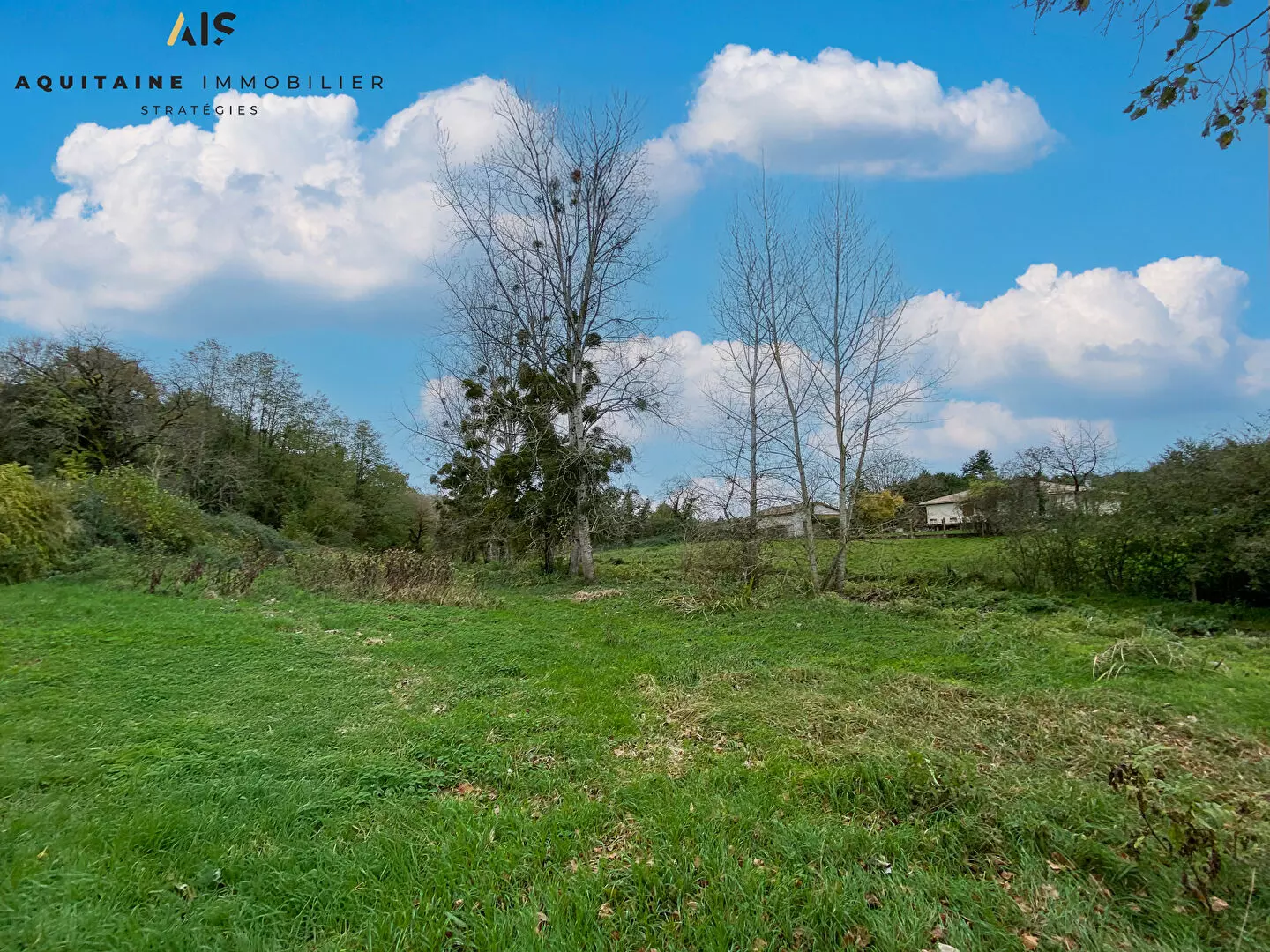 AQUITAINE IMMOBILIER STRATEGIES - BERNAC - MAISON T4 - 100 M2 - TERRAIN + DEPENDANCES / image 10